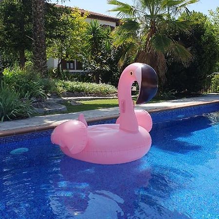 Casa Los Flamencos Моначиль Экстерьер фото
