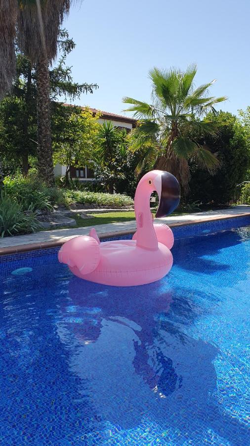 Casa Los Flamencos Моначиль Экстерьер фото
